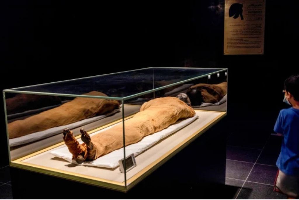 Missing Burial of Pharaoh Khufu