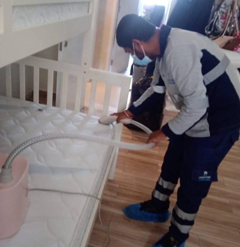 bedbugs-dubai-abu-dhabi-cleaning-service