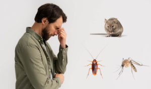Health Risk By Pest in Dubai