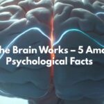 How the Brain Works – 5 Amazing Psychological Facts