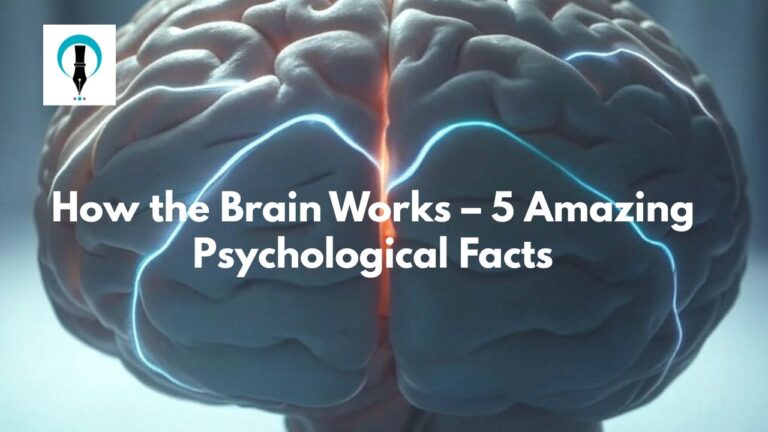 How the Brain Works – 5 Amazing Psychological Facts